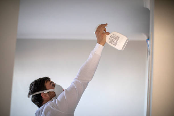 Best Same-Day Mold Removal  in Pottsville, AR