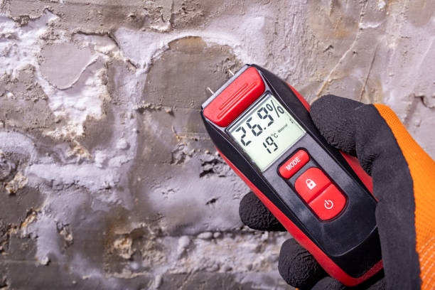 Best Office Mold Removal Services  in Pottsville, AR