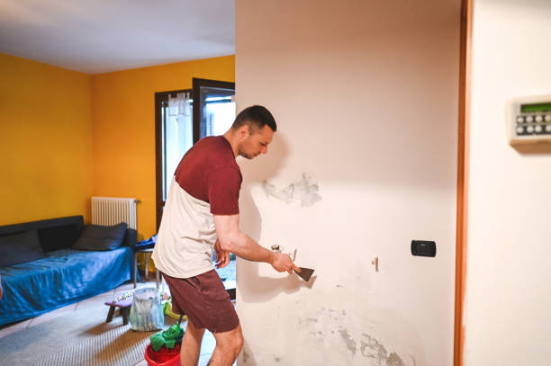 Best Mold Testing and Removal  in Pottsville, AR